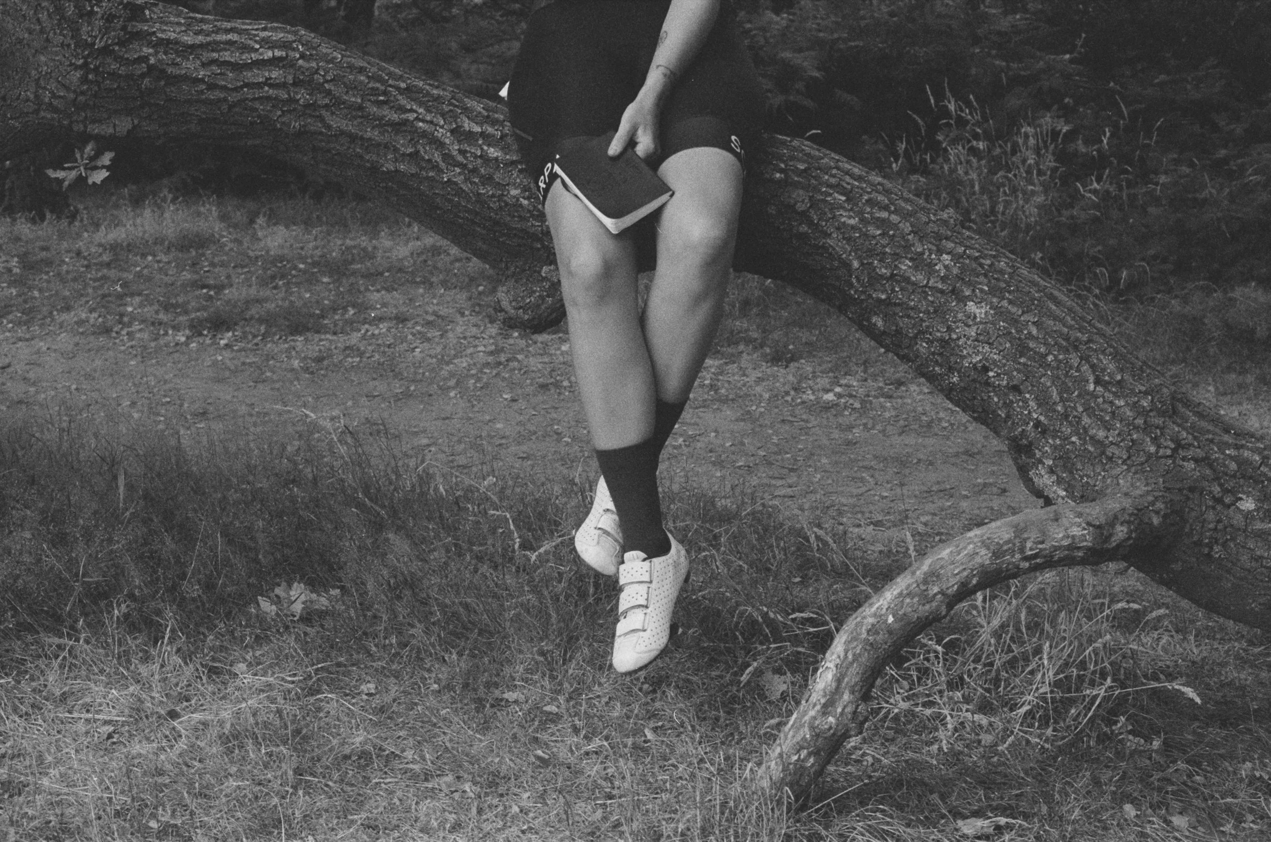LEGS ON TREE.jpg