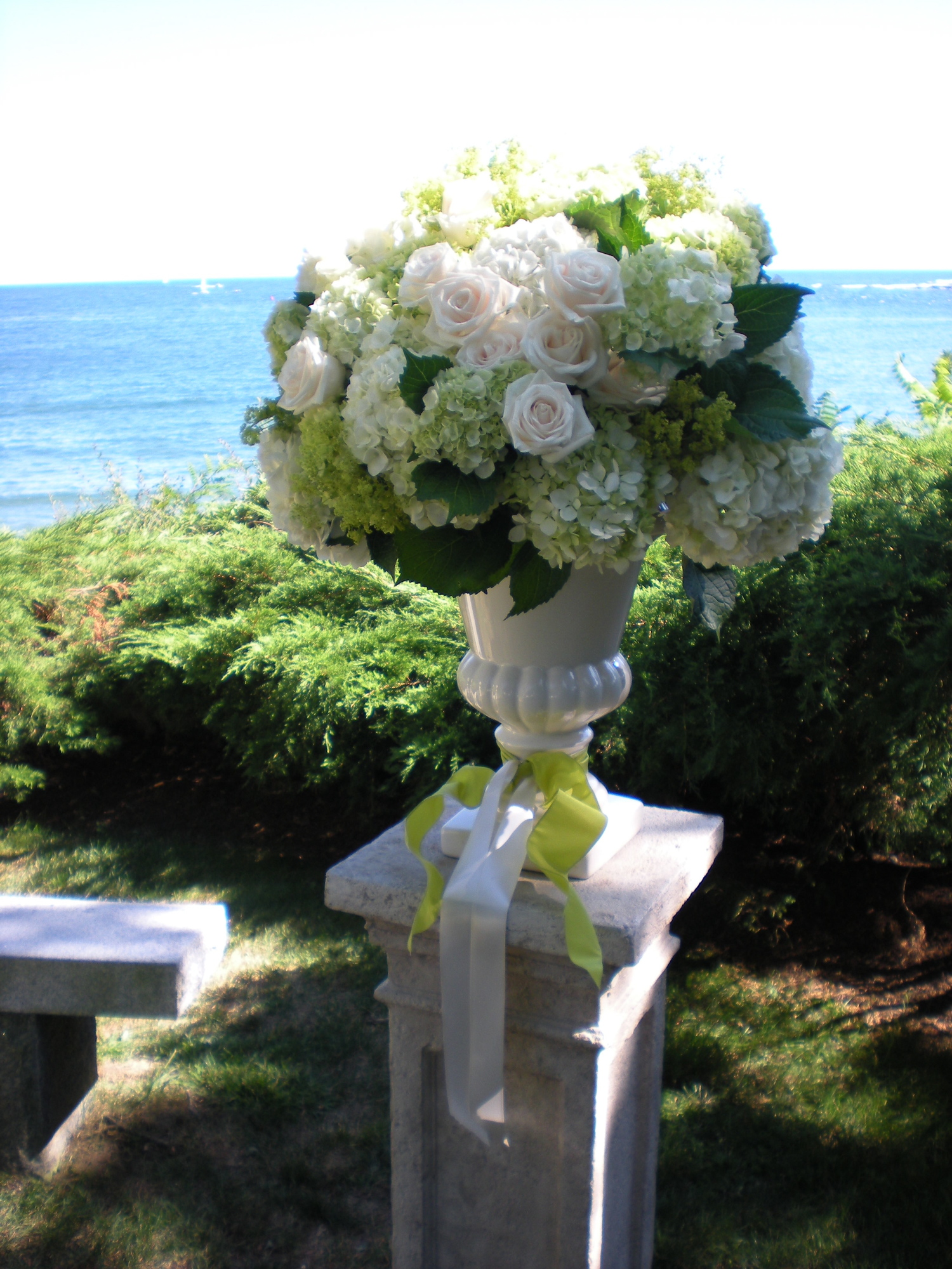 Lynn Curcio Photography