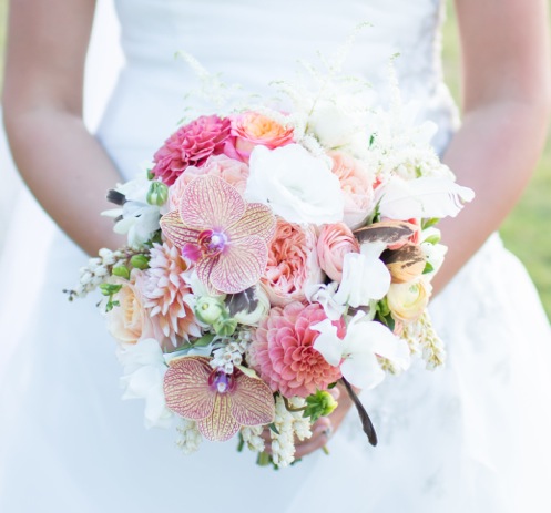 Amy Brown Photography