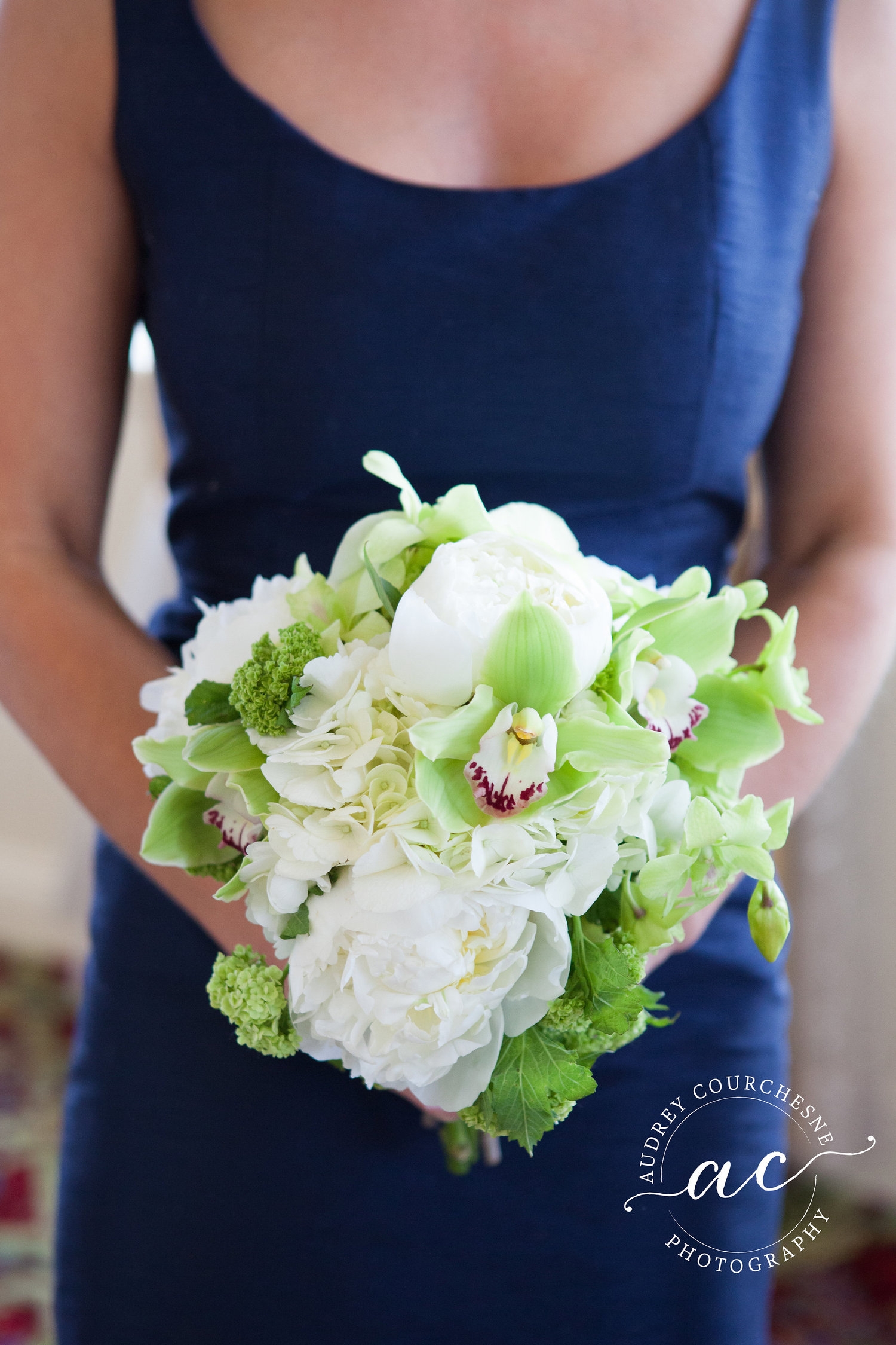 Audrey Courchesne Photography