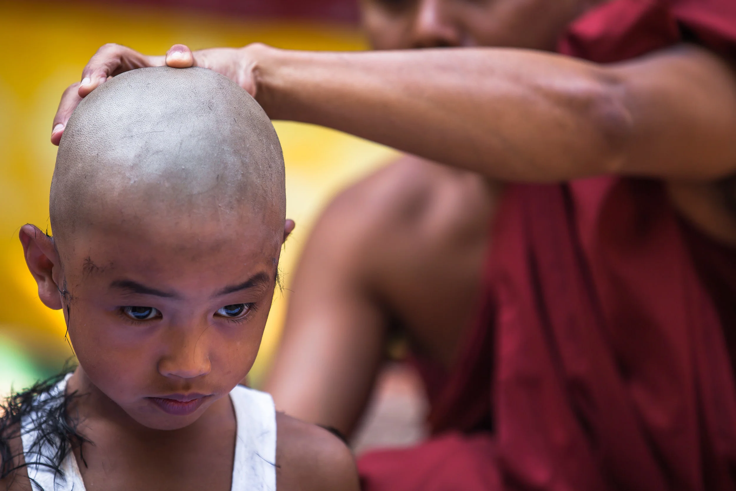 IMG_5489.jpg