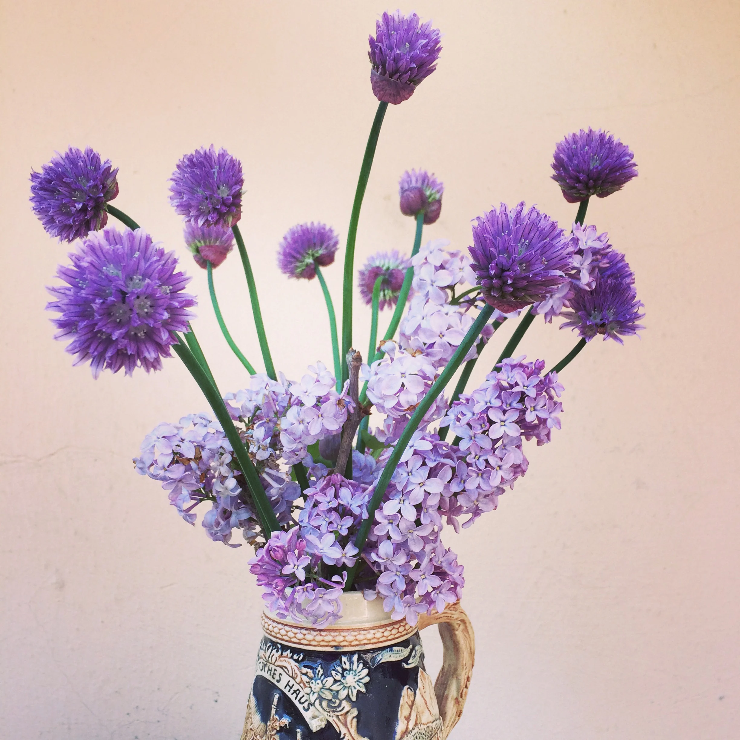 beer stein beauties