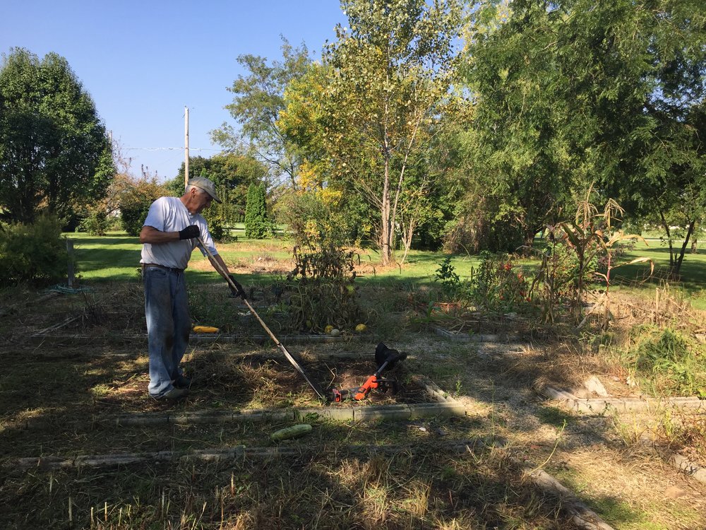 dad in veg garden.JPG