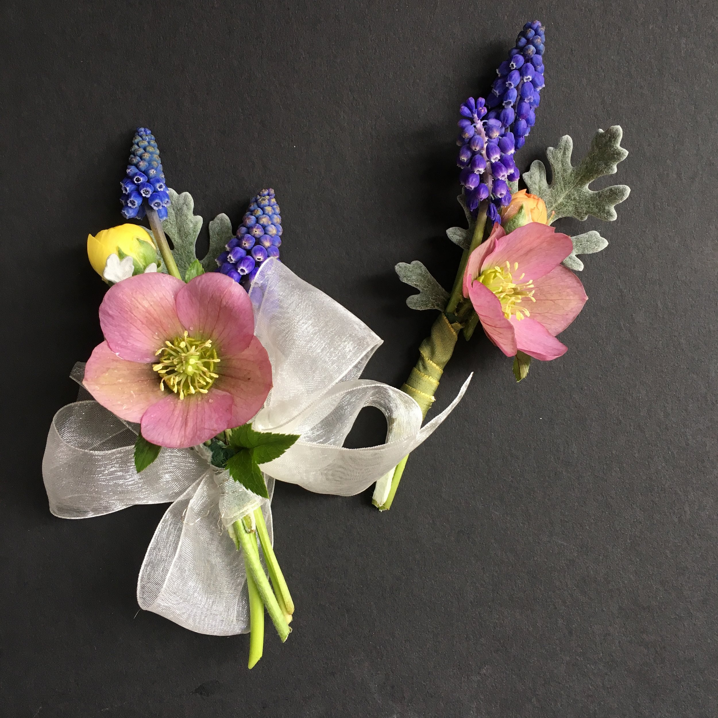early spring boutonnière and corsage with hellebore, grape hyacinthe and ranunculus buds