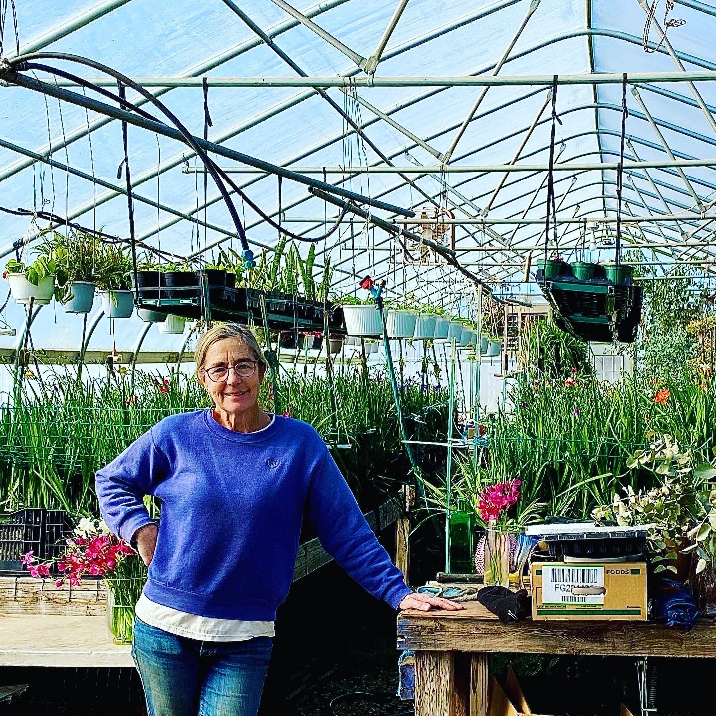 Madgie in Greenhouse.JPG