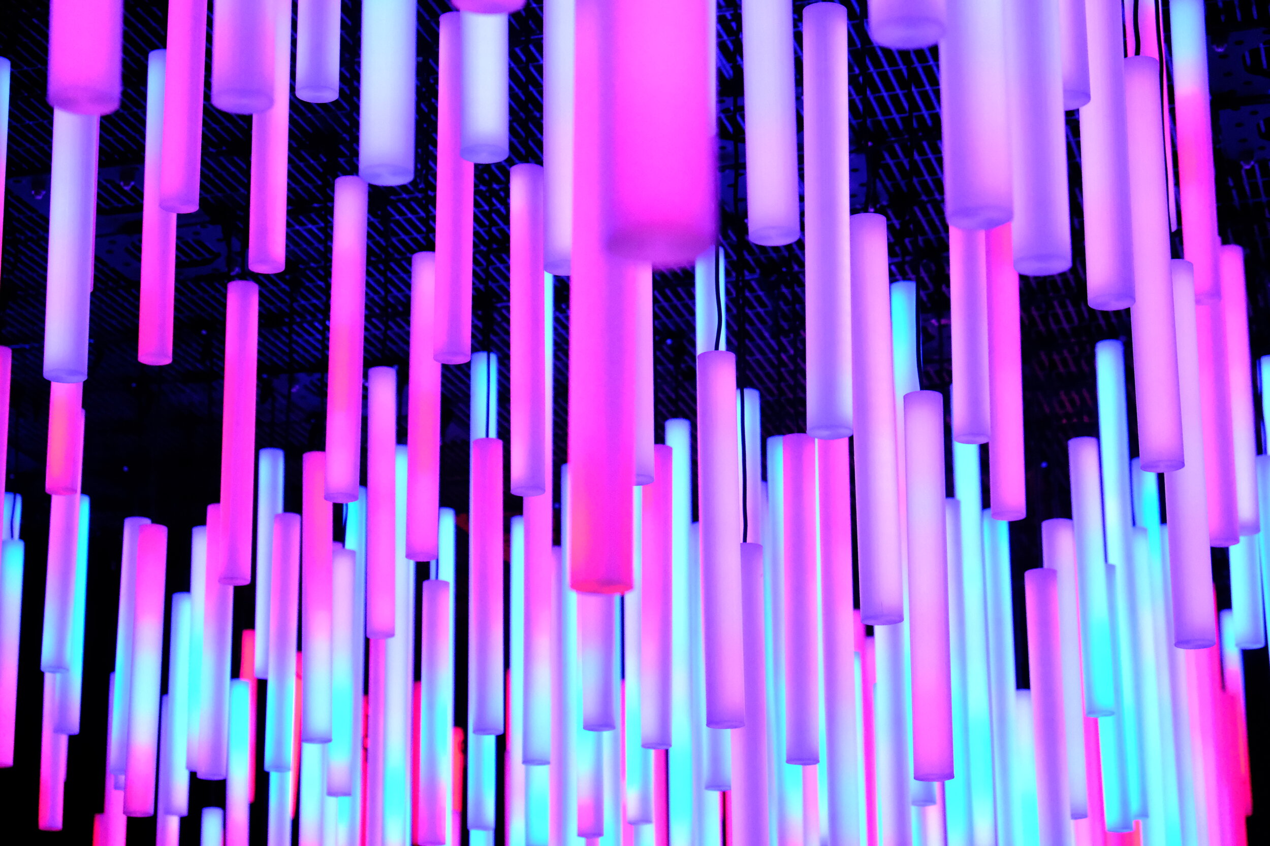 DSCF4654.JPG