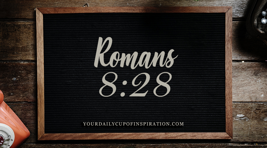 ROMANS8-28.png