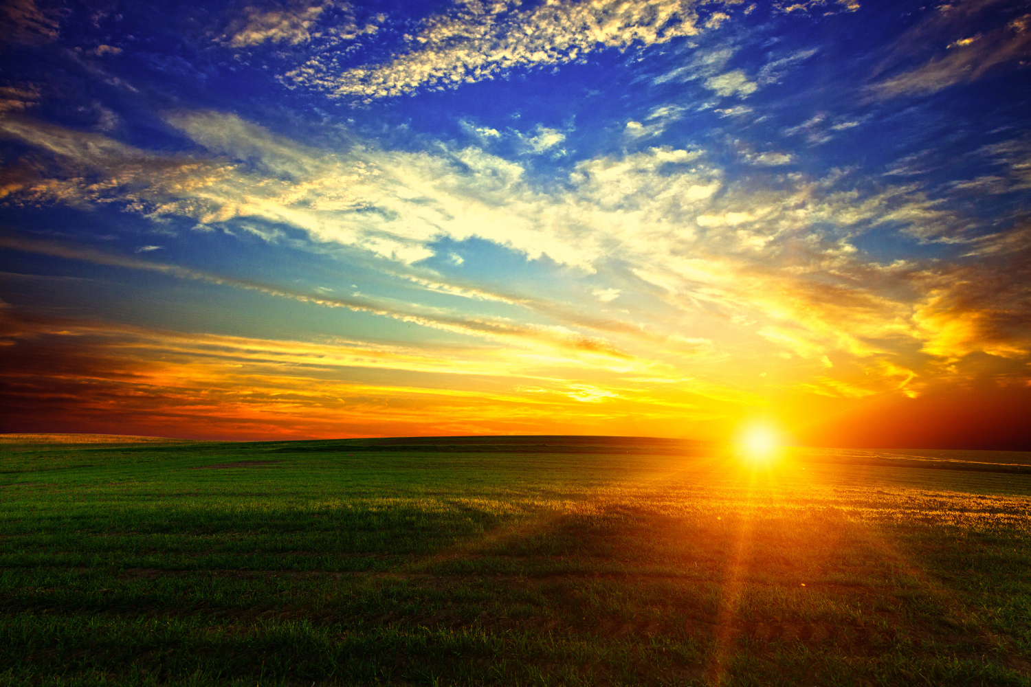 Sun on the horizon over a green field beneath a bright blue sky with golden clouds.