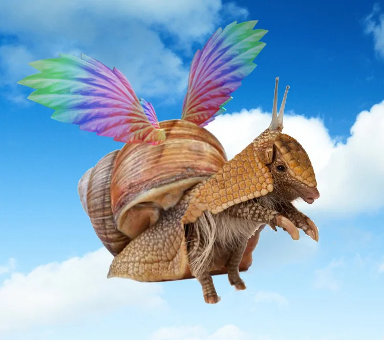 rainbowSnailAdillo.jpg