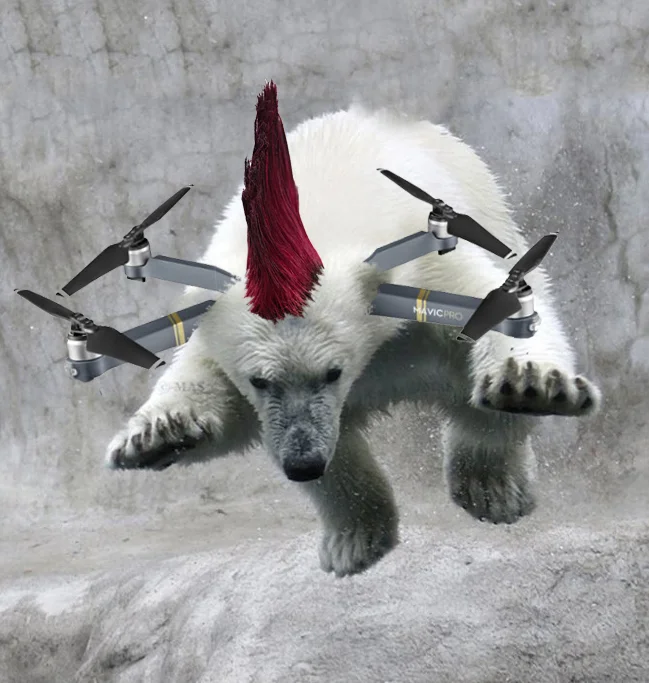 polarDroneWIthMohawk.jpg