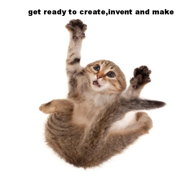 scared-kitten.jpg