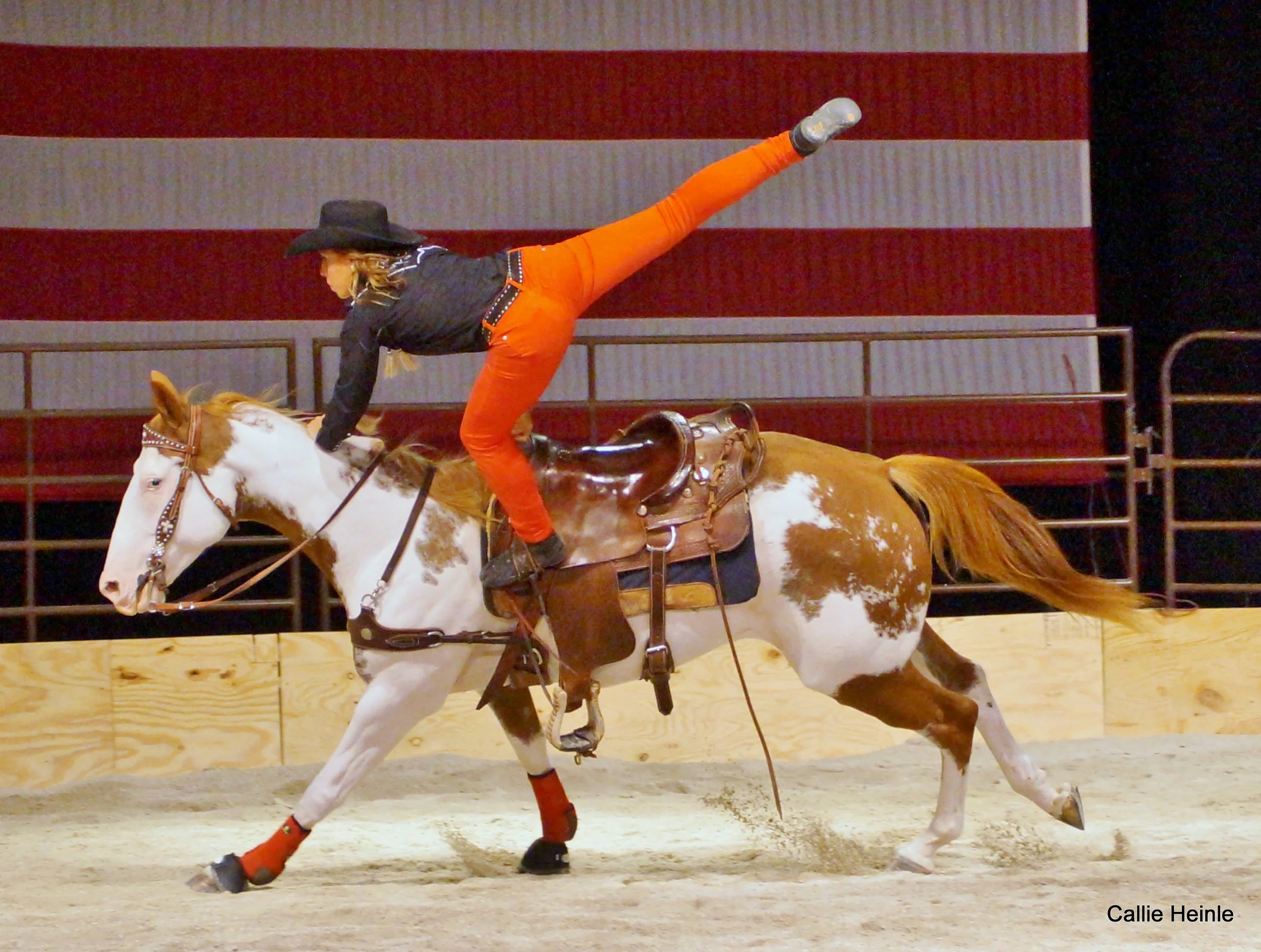 001-DSC06883 - Copy.JPG