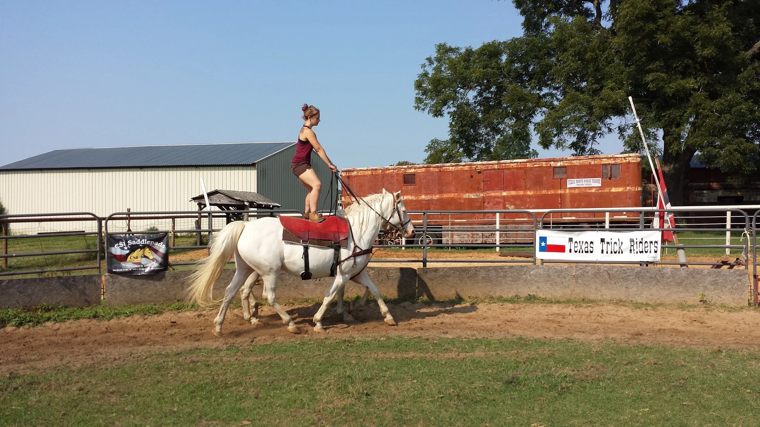 20150828_100538.jpg