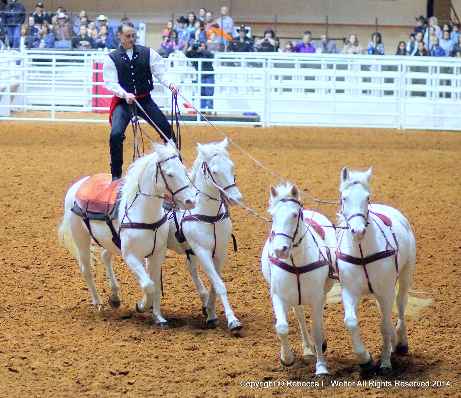 IMG_5290.JPG