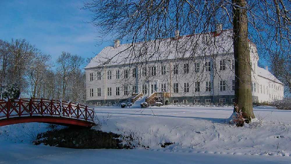 En kur der virker fra første dag — Kropsinstituttets Blog