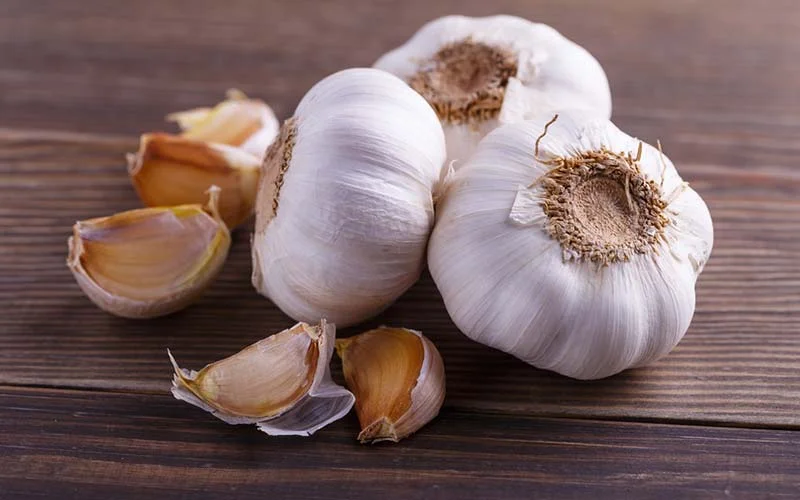 garlic.jpg