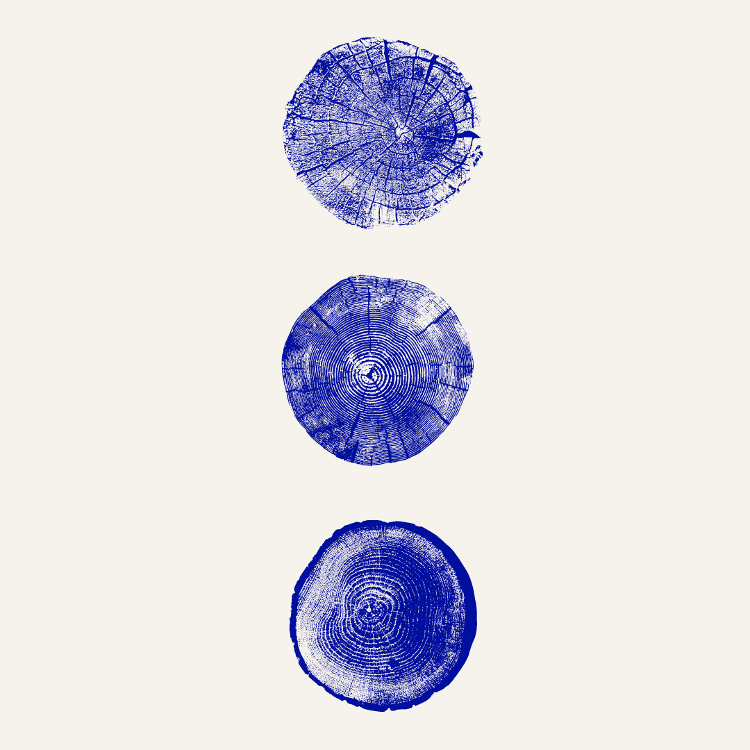 SoMe 1080x1080px StudioSigrid 2025 Web2.png