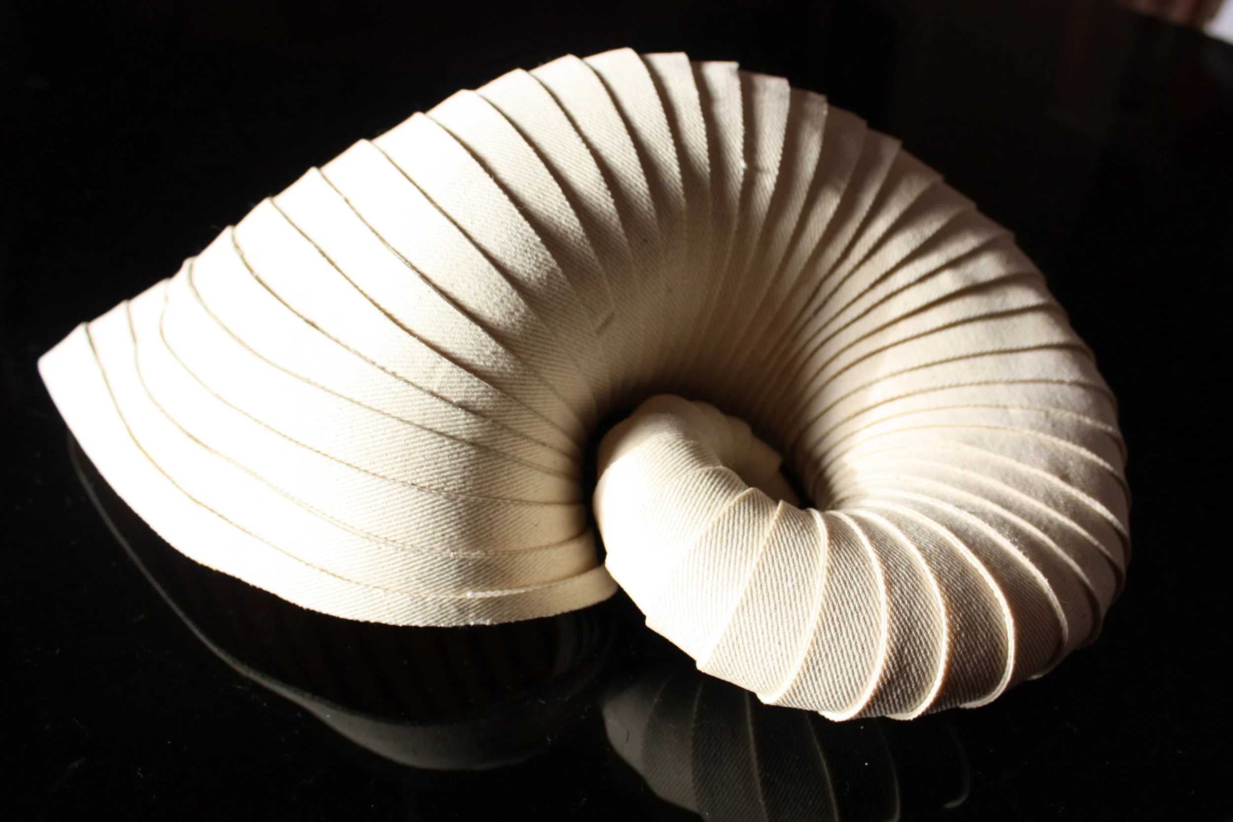SPIRULA DECEDENS 