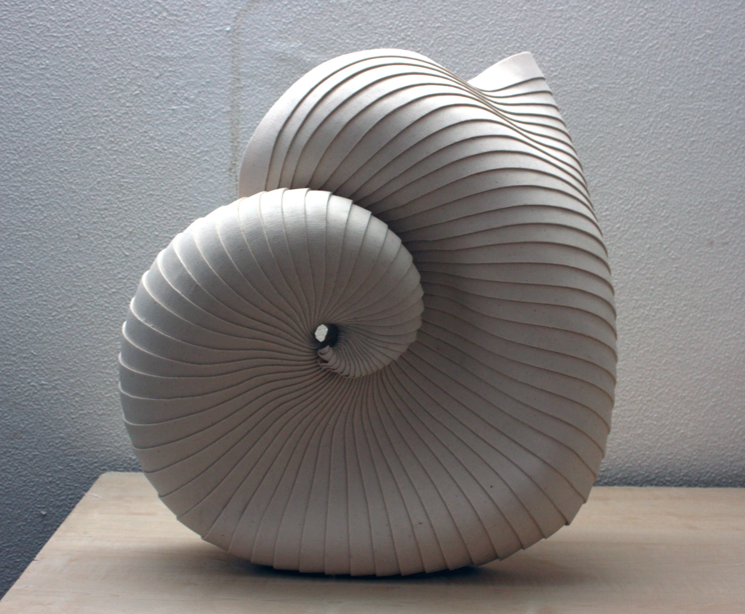 DISCOBULA