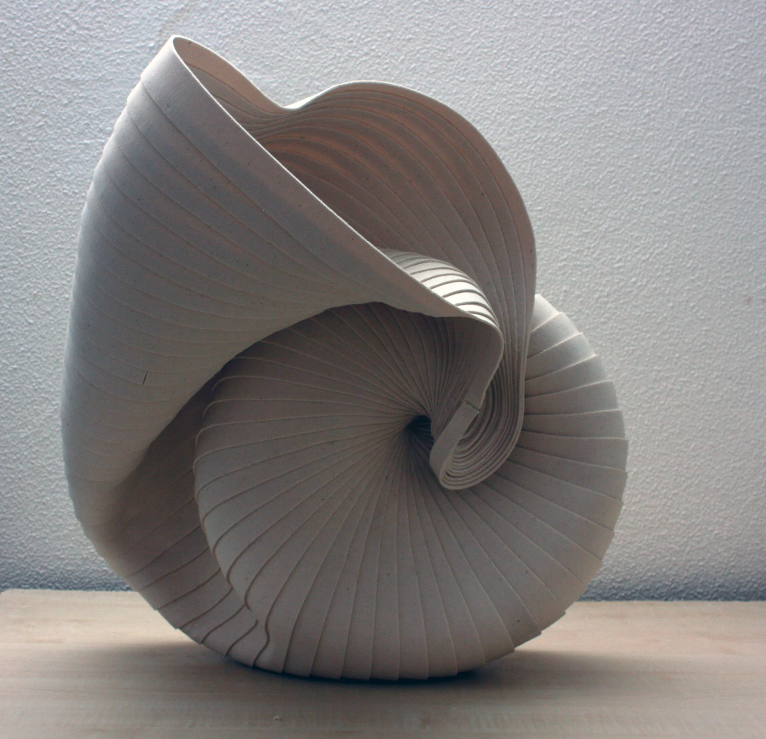 DISCOBULA