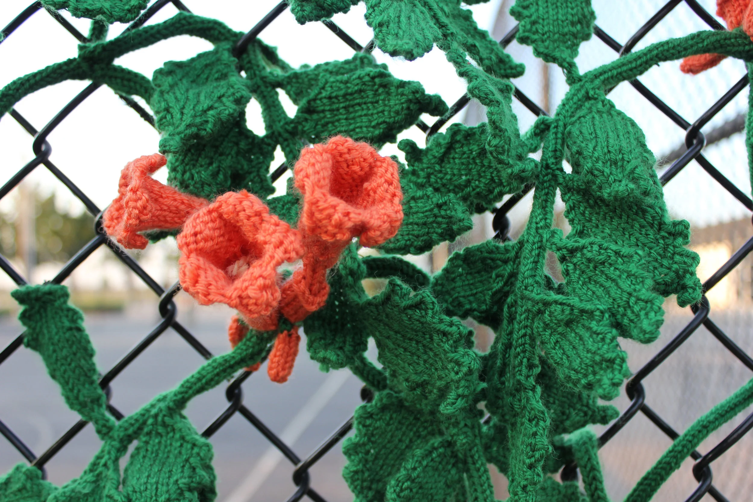 Contained Aesthetics Detail.jpg