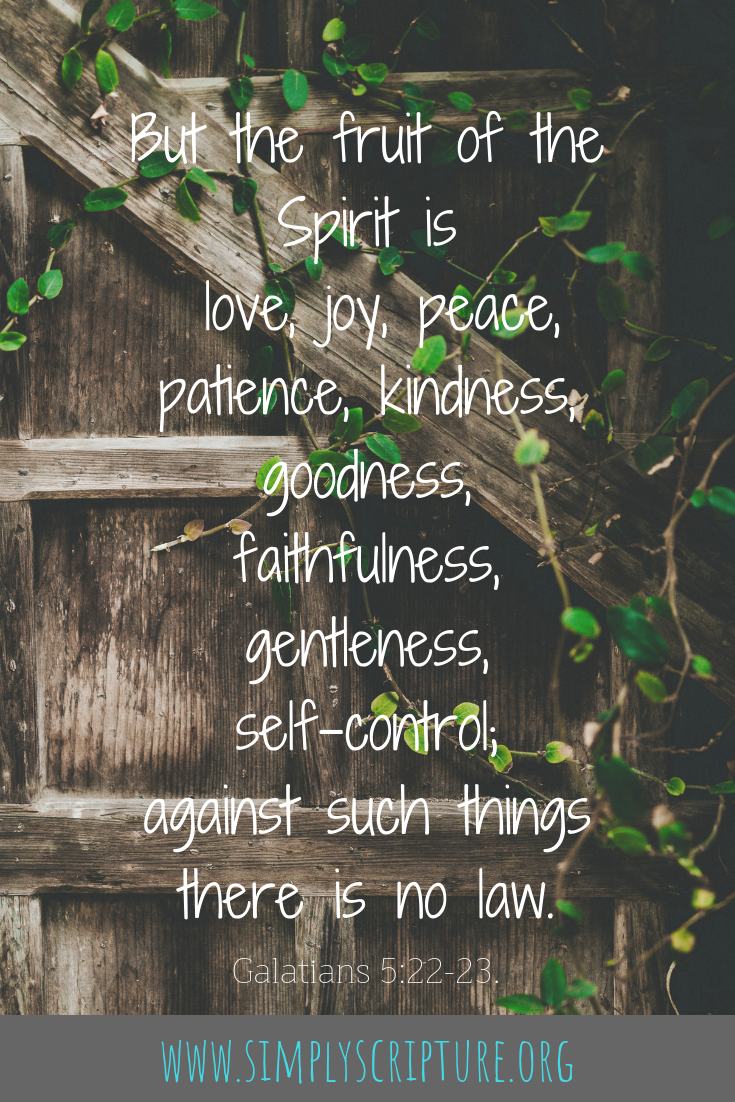 My garden gave me a lot to think about this year. It spoke to me about my lack of diligence, God’s provisions and things beyond my control.