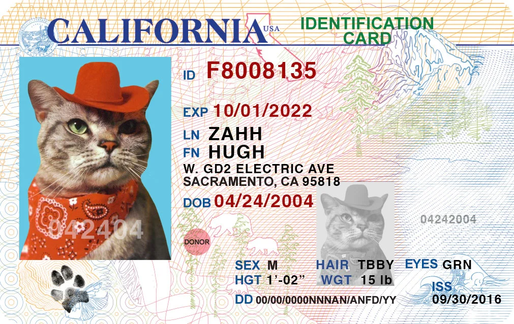 amory_fake ca id.jpg