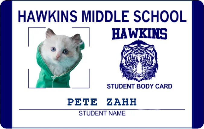 amory_fake school id.jpg