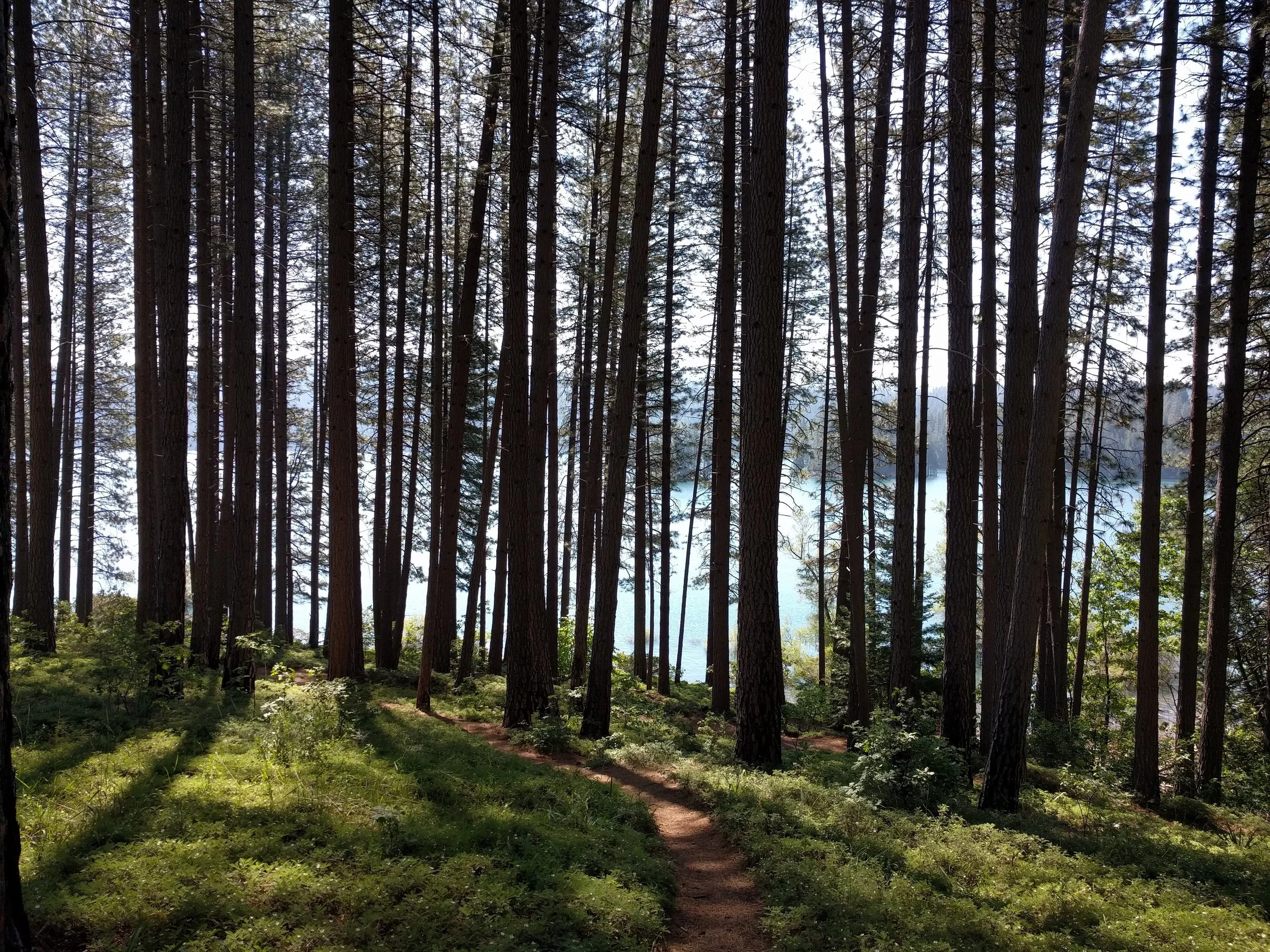 path.jpg