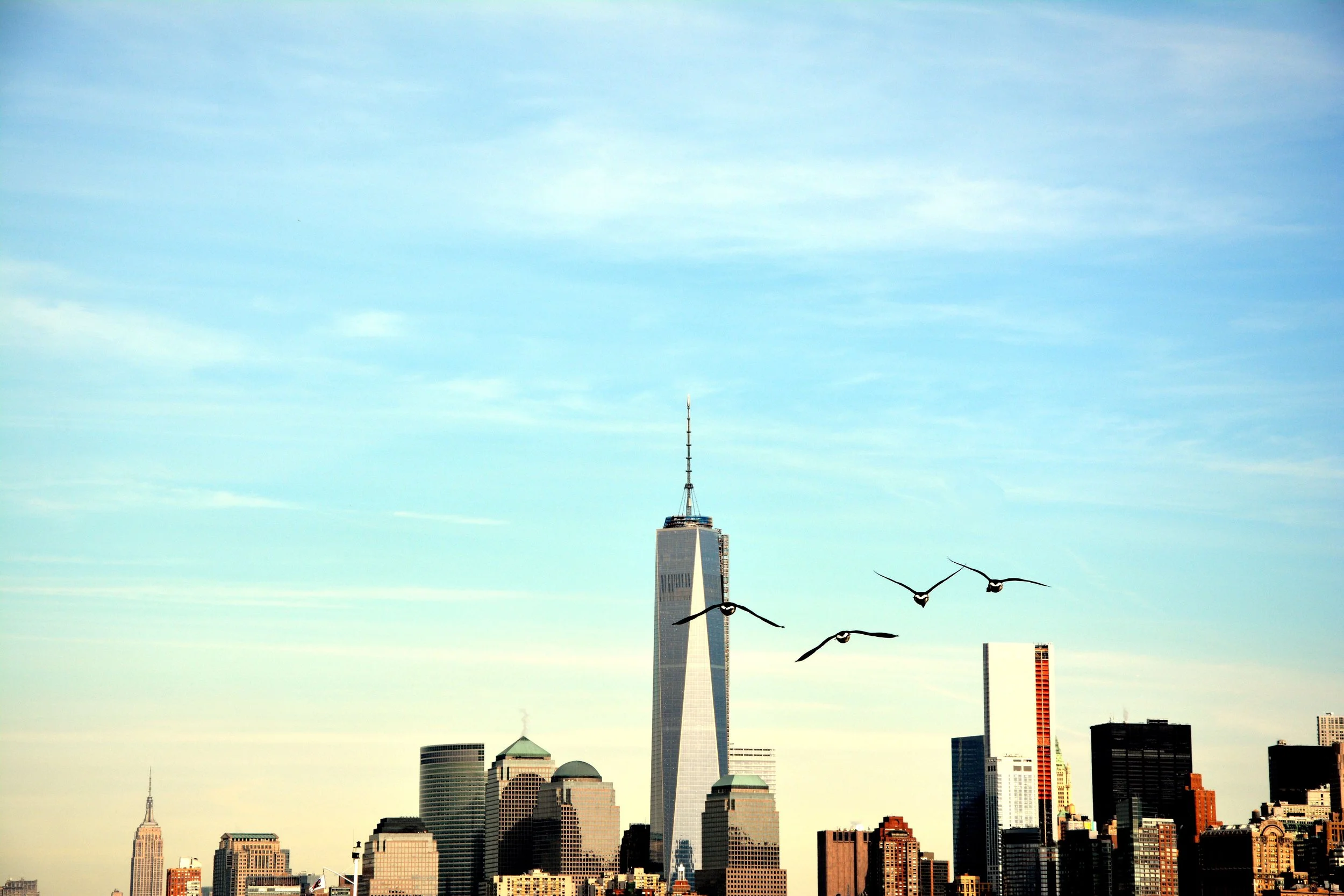 20131208_850.jpg