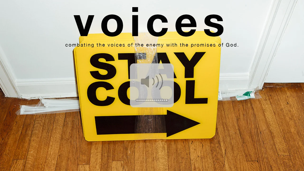 voicesgraphic copy.jpg