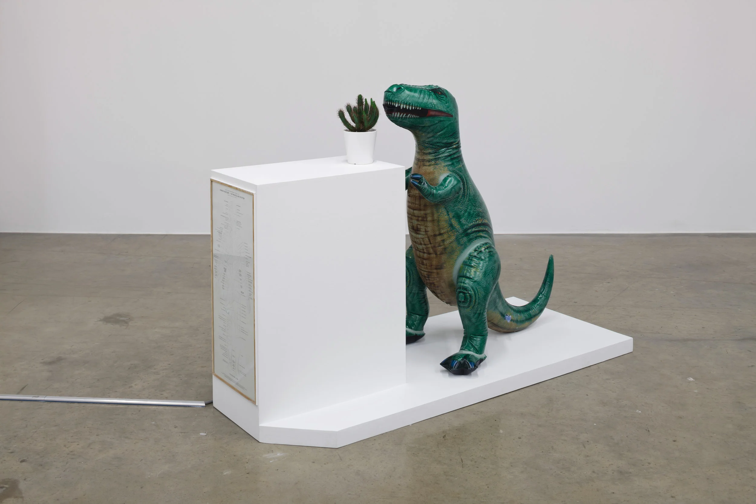 True Man, a Reptile Infusing Lily Fragrance into a Cactus.JPG