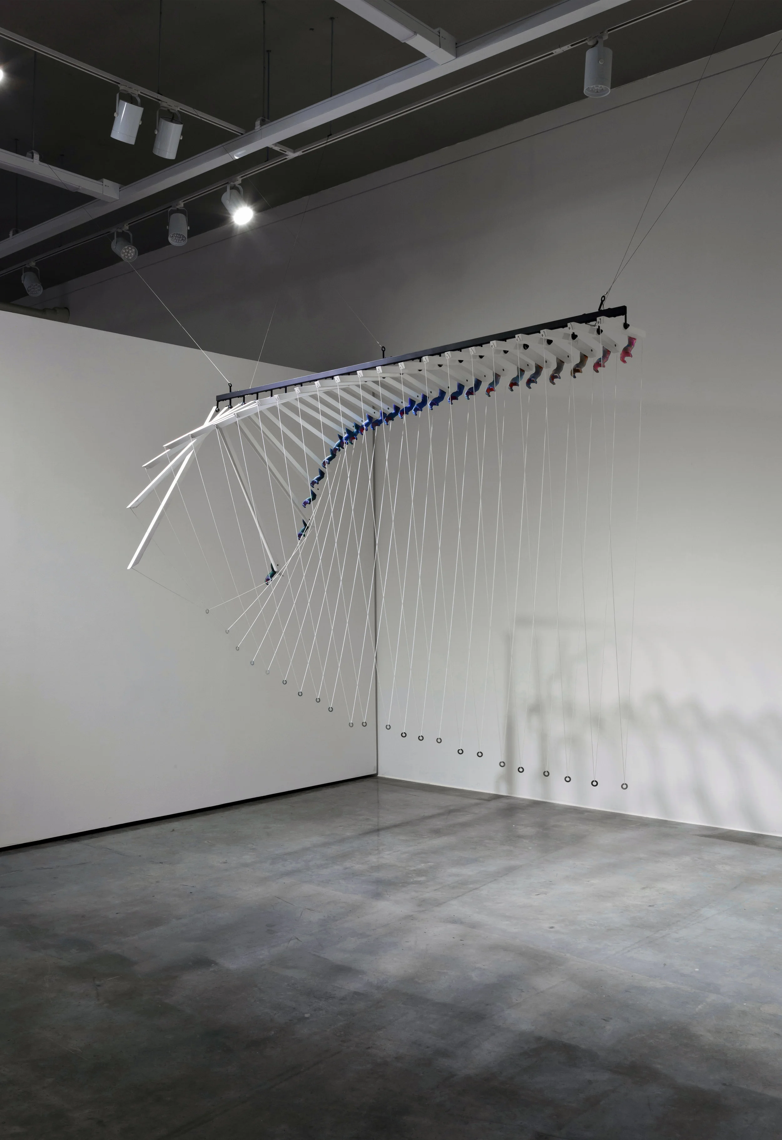 A Single Locomotion, Twenty Three Chameleon’s Feet Reaching the Ultimate Finality of Uselessness.JPG