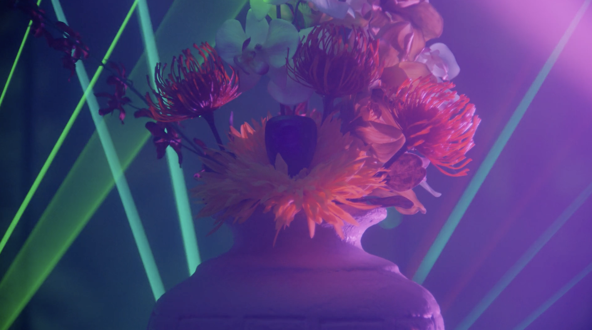 Screenshot 2024-01-30 at 12.34.40 PM.png