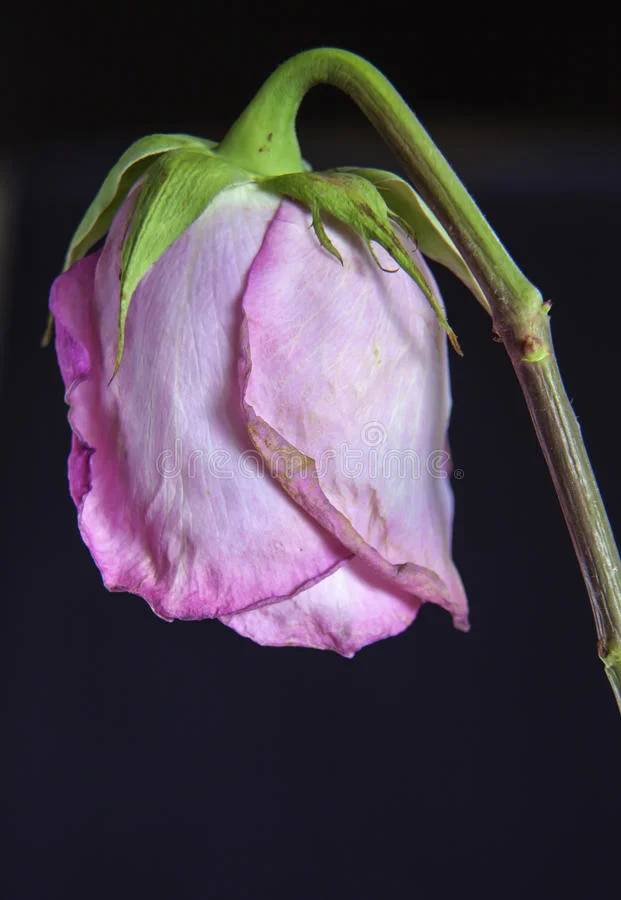 Not So Happy 10th Anniversary