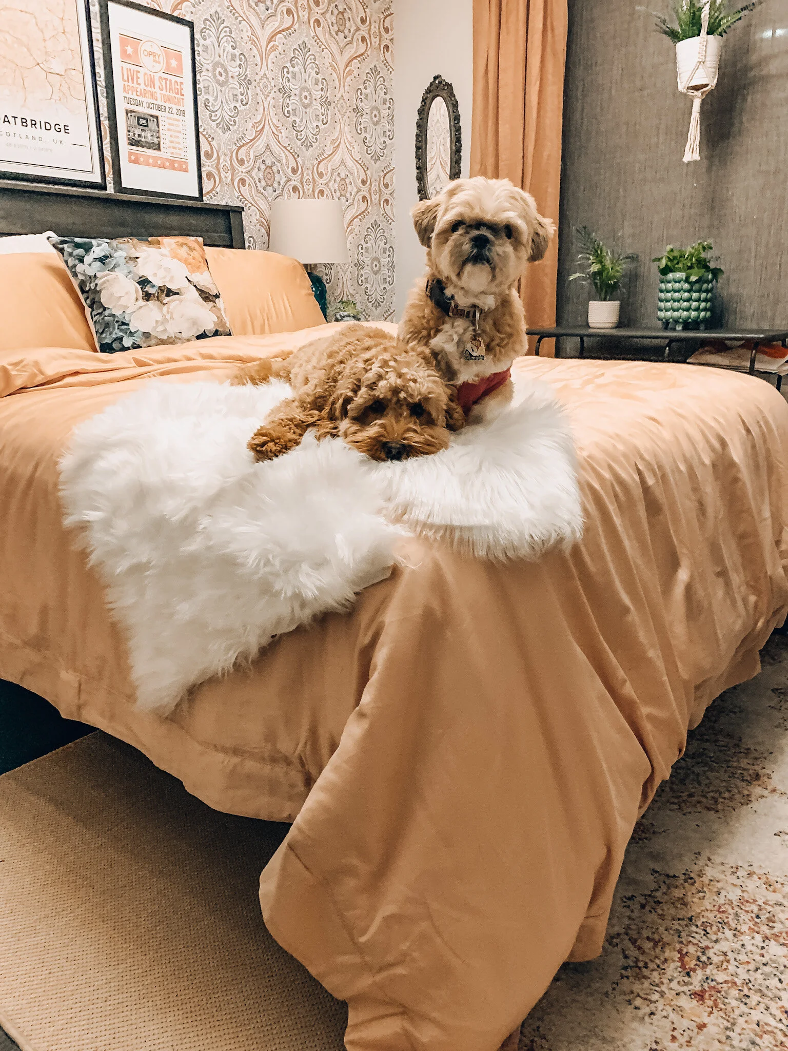 Comfy Cozy Guest Room