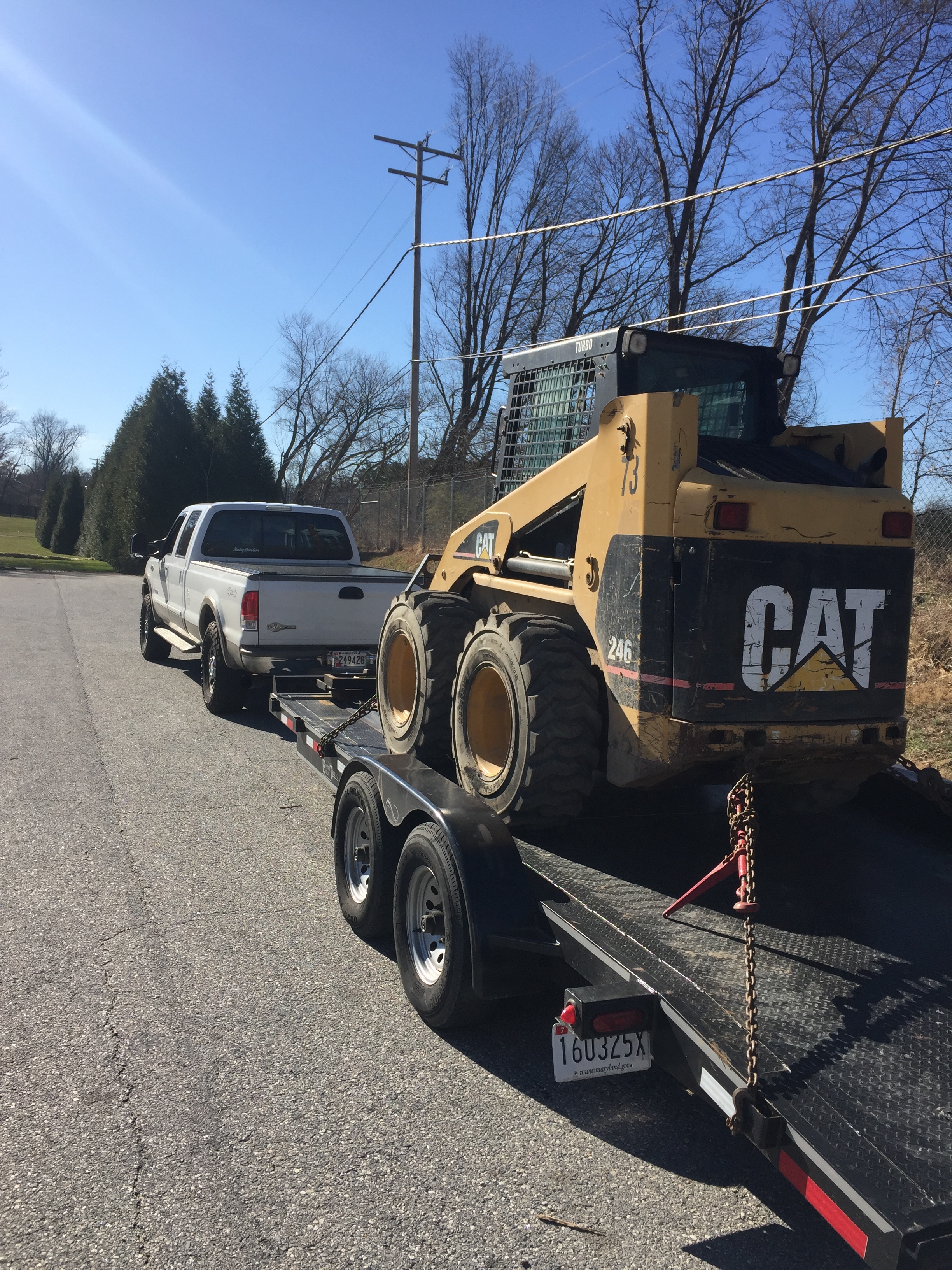 Bobcat.jpg