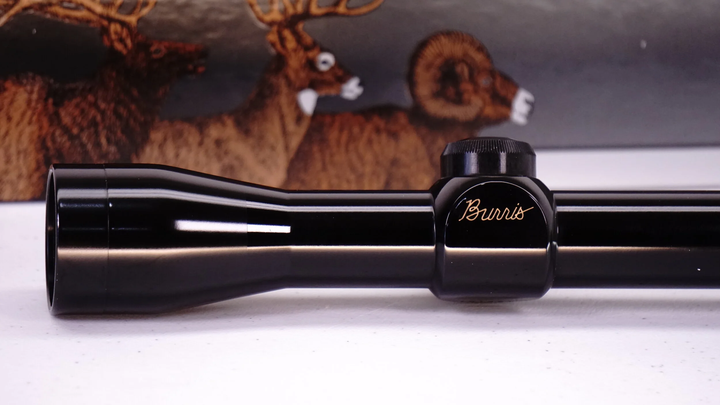 _DSC3755.JPG