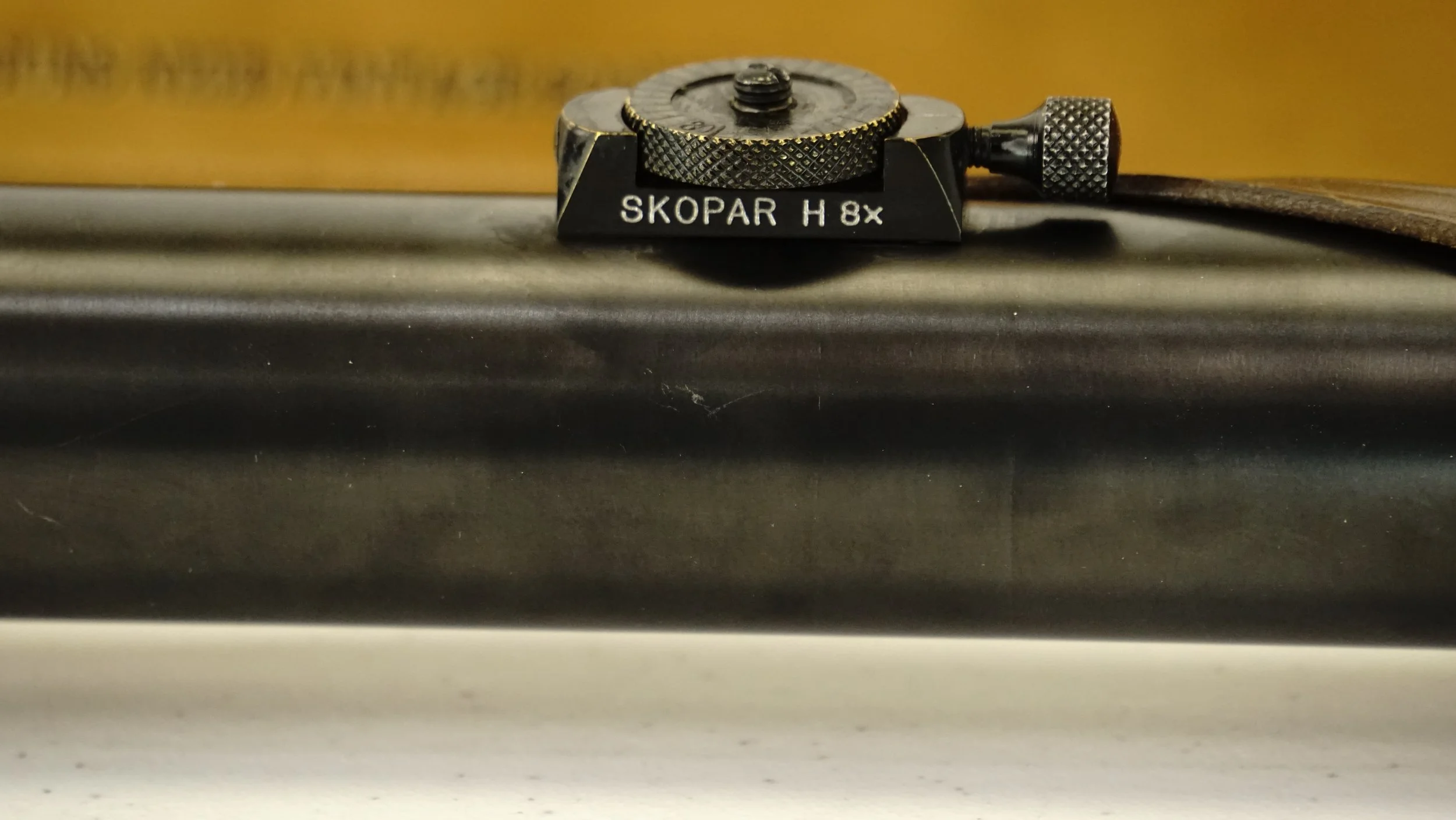 _DSC9211.JPG