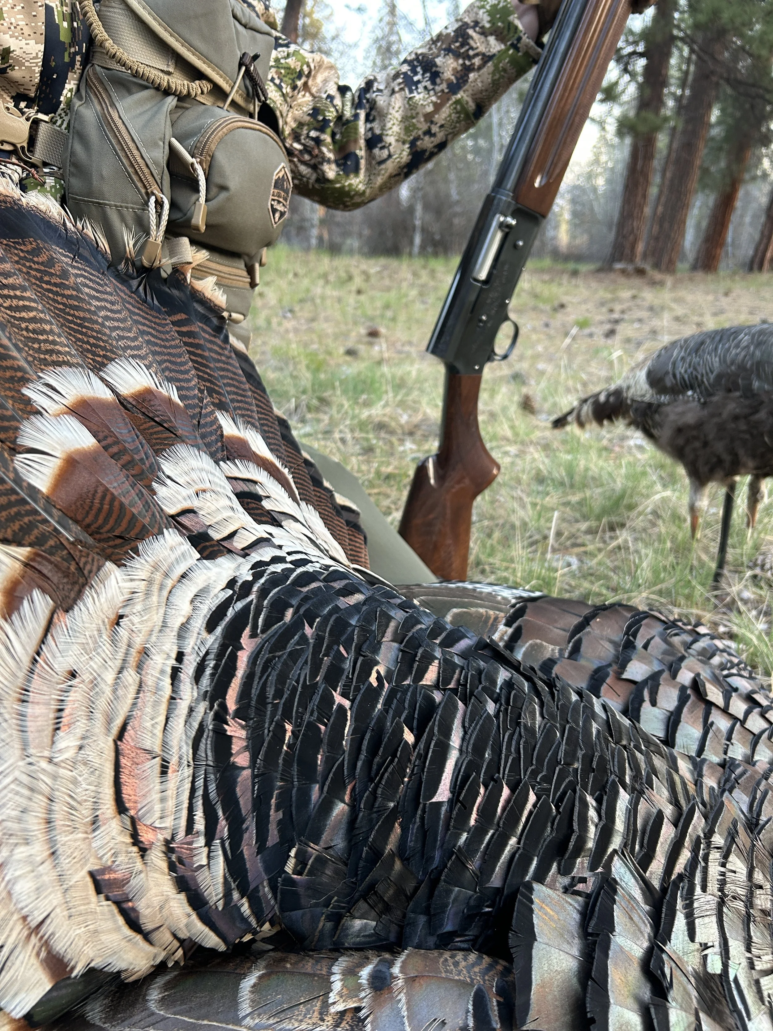 Vintage Spring Hunting.....Without a Scope!