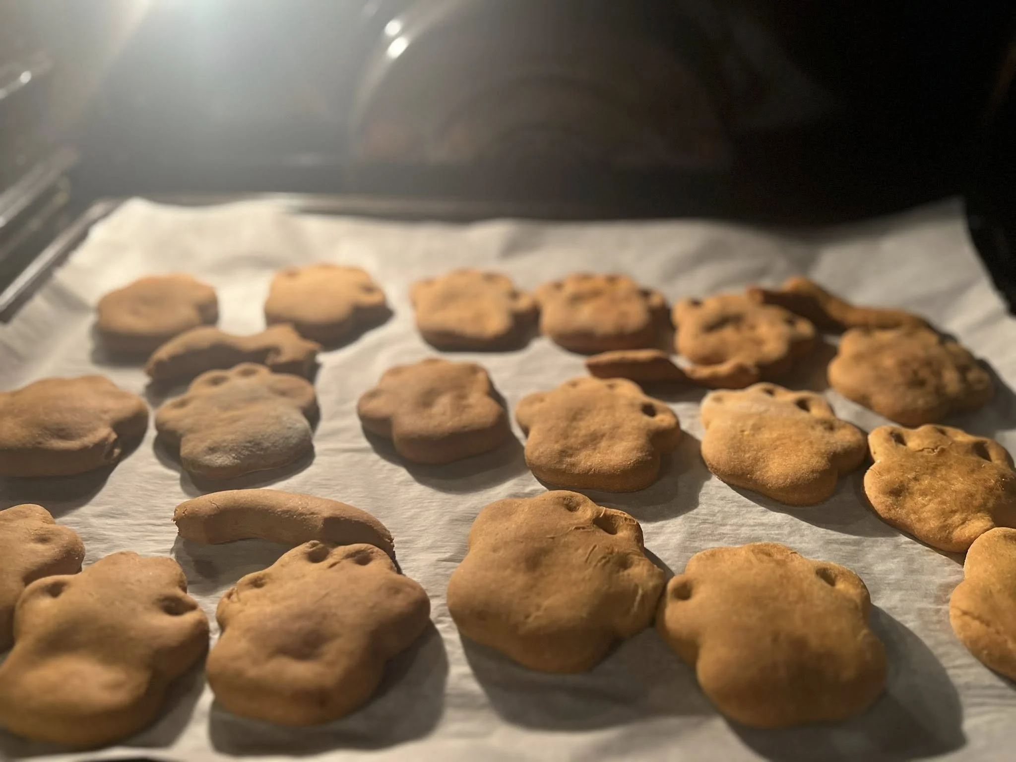 Dog Treats .jpg