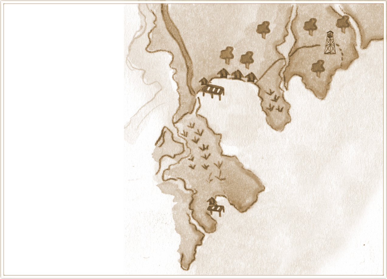 Drawings for  Where the Crawdads Sing  by Meighan Cavanaugh