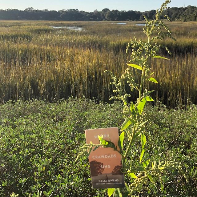 In Kya country, and so excited to be part of the Pat Conroy Literary Festival, which contributes so much to promote reading.  Crawdads still the Number 1 bestseller hardcover fiction and nonfiction book in America. Thank you!