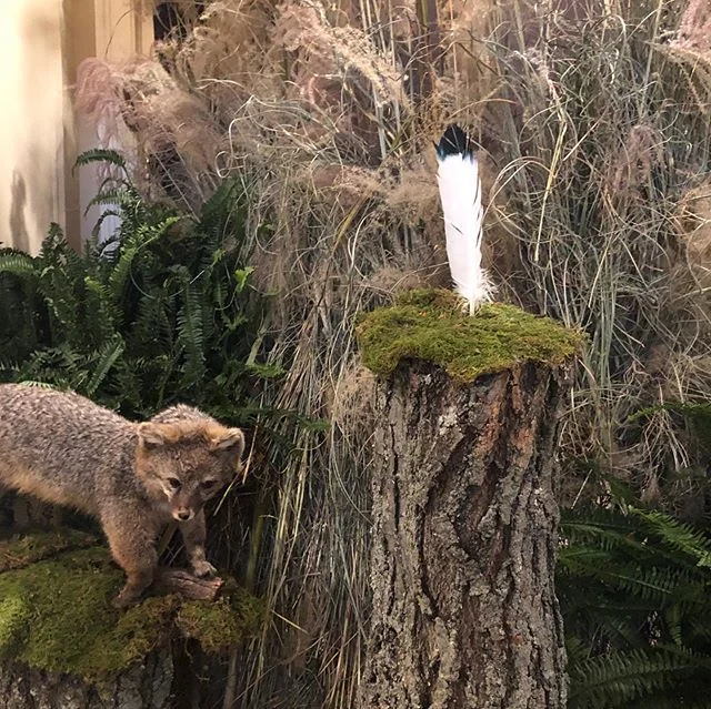 Unbelievable day. I was honored to be invited to the New Canaan CT Literary Luncheon and arrived to find the venue transformed into Kya&rsquo;s world. Jumpin&rsquo;s shack was tucked away in tall grass, the brilliant marsh stretched to the horizon and in the woods stood the feather stump among fireflies. Thank you for this unforgettable tribute.