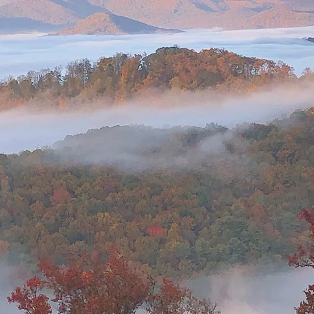 This has been a year of living above the clouds. In the last three days, I have met more than two thousand Crawdad readers!! Still soaring on the bestseller lists for fourteen months. And the best part is connecting with all of you. ❤️