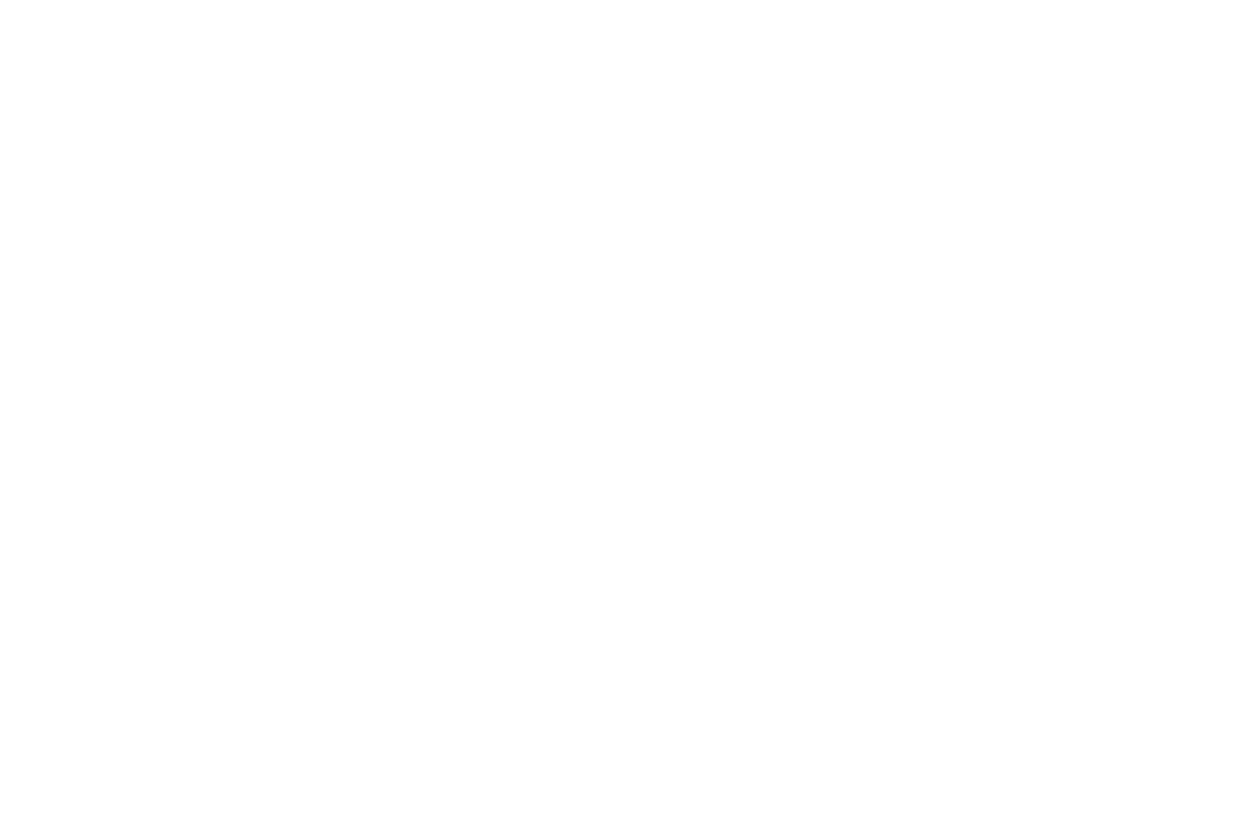 OFFICIAL SELECTION - LA Shorts Awards - 2017 (1).png