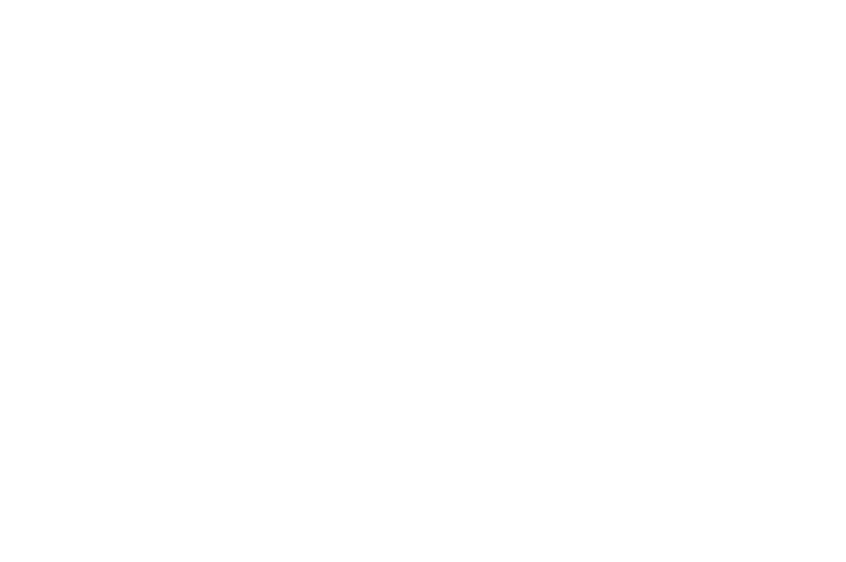 OFFICIAL SELECTION - Rosebud Film Festival - 2018 (3).png