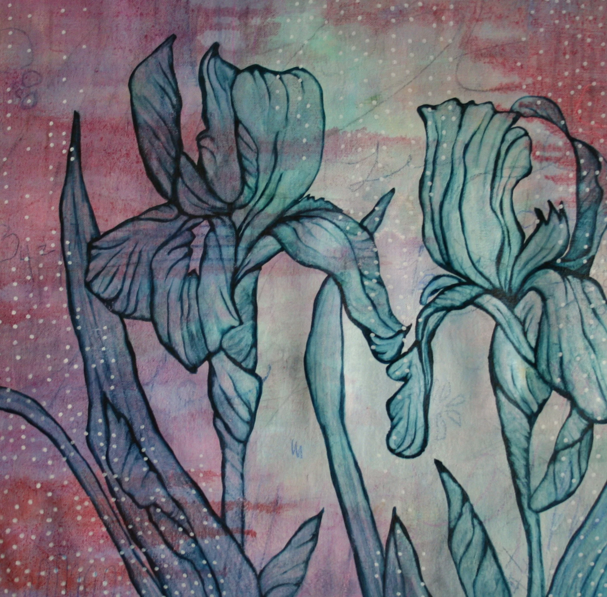 Iris Dot, Amy Floyd