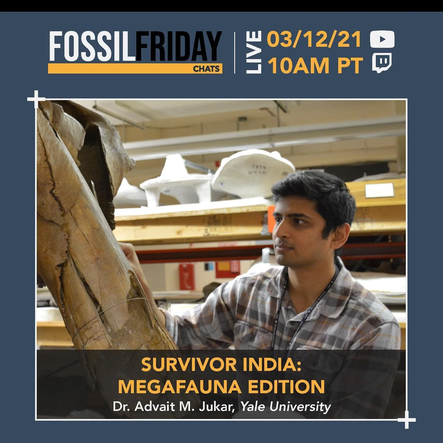 This week on the show, @brittandbone and I are excited to have paleontologist @palaeindicus join us to chat about the ancient megafauna of India!

Tune in at 10am Pacific Time on YouTube or Twitch (PaleoParadoX_).

#TGIFossilFriday #Paleontology #Fos
