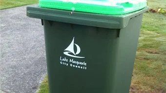 Green Bin.jpg